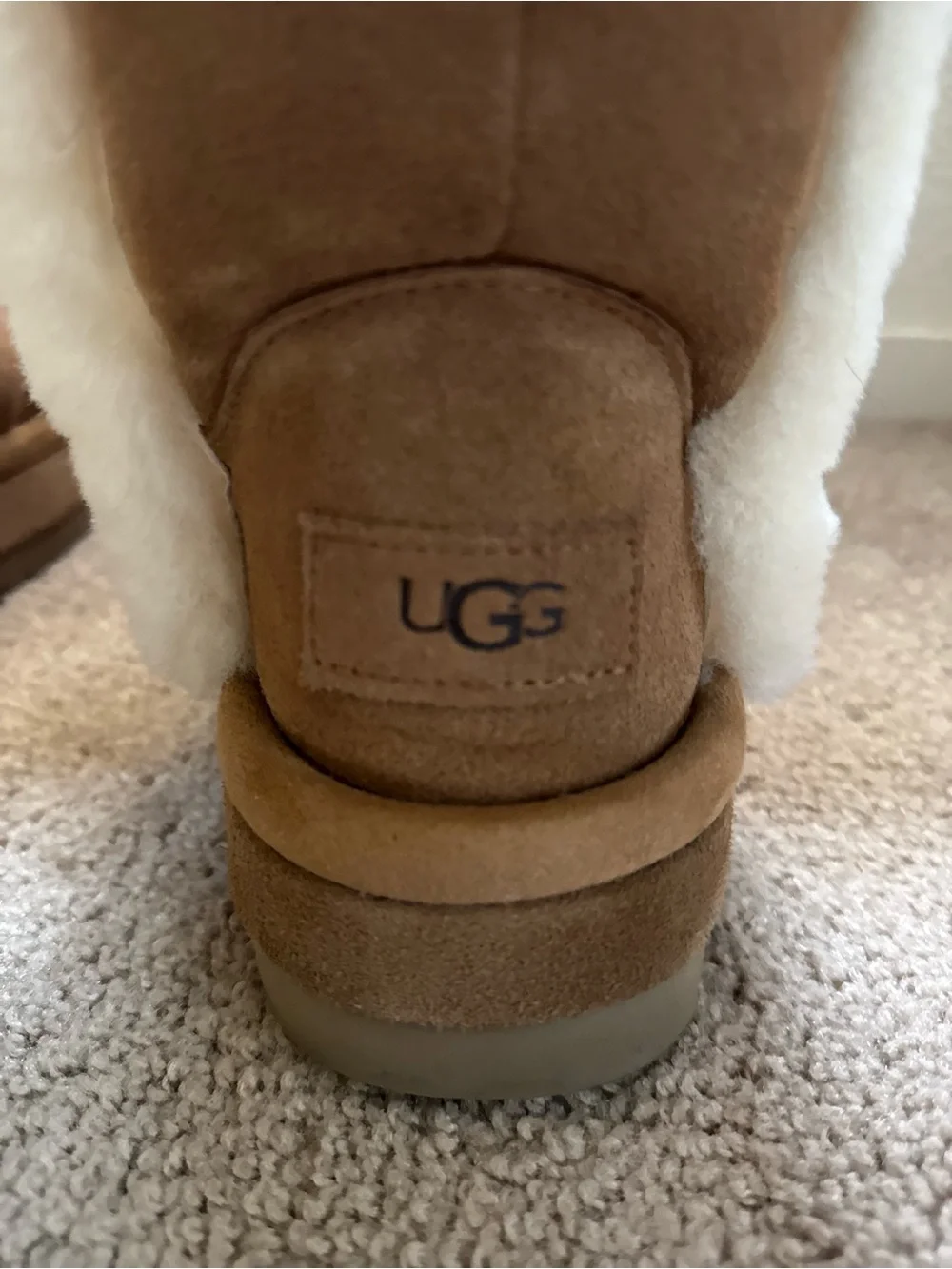 UGG Chillapeak Genuine Shearling Trim Tall Boot